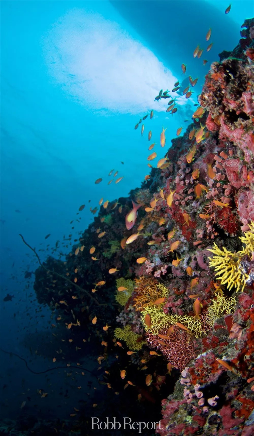 带你看世界的酒店,东方甄选看世界酒店