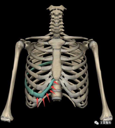肋软骨隆鼻你要知道的,肋软骨隆鼻怎么样好得快