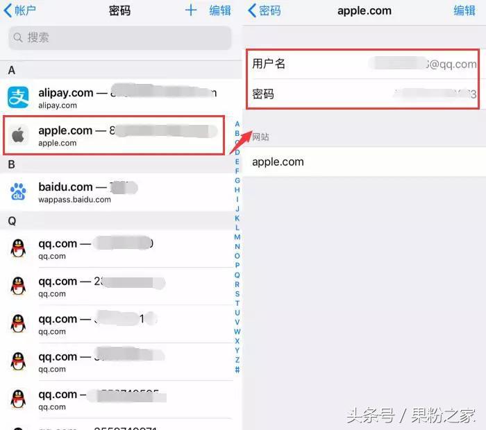 账号密码忘了怎么办简单操作,账号密码记不住存哪里