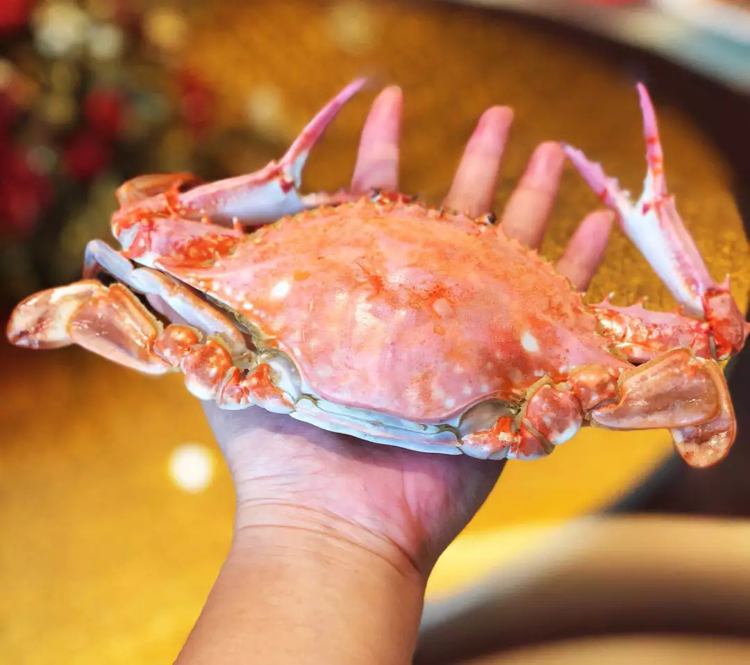 王炸！大连10家饭店鲜活海鲜组队放价，顾客自发早9点来排队！