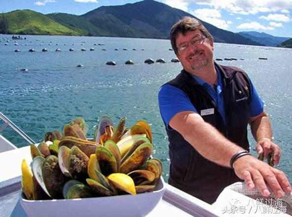 新西兰海边青口贝,新西兰赶海吃青口贝