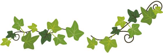 「交通看点」建设“完整林荫道”——步行和自行车交通环境设计建设图集亮点介绍（一）