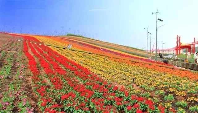 潮汕周边居然有这么多5*级A**景区，很多人都不知道！