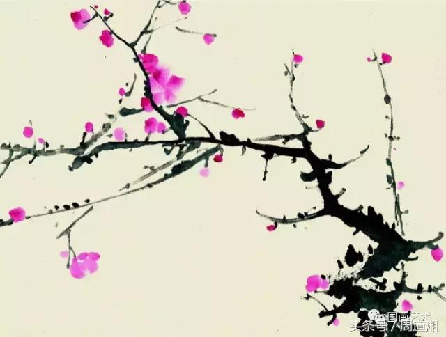 梅花花朵的国画画法视频,大写意梅花枝干国画画法