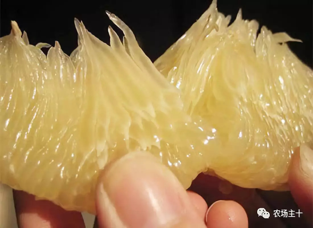 90后新农人用科技轻松种田,抖音直播网红黑科技