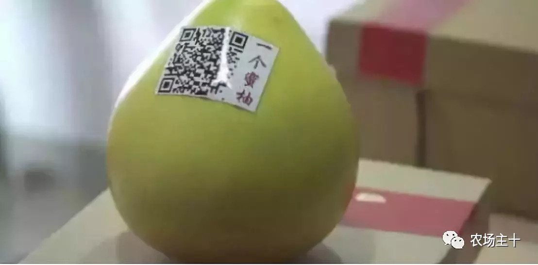 90后新农人用科技轻松种田,抖音直播网红黑科技