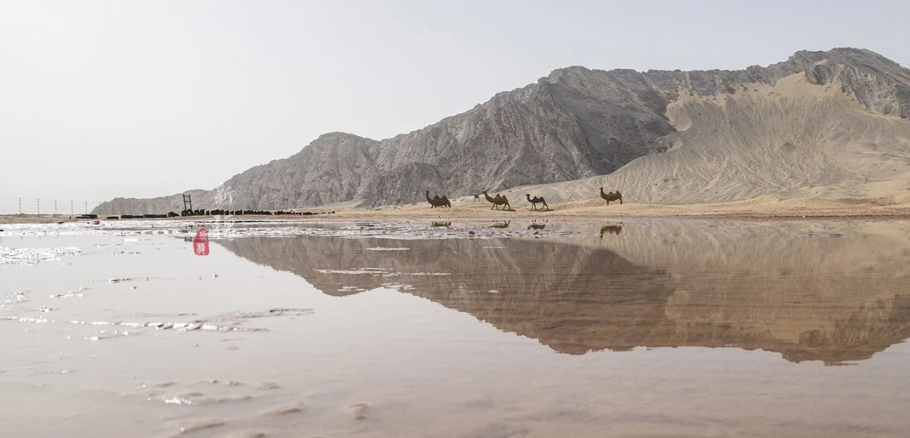 喀什库木塔格沙漠冲浪体验,沙漠滑沙比海上冲浪还过瘾