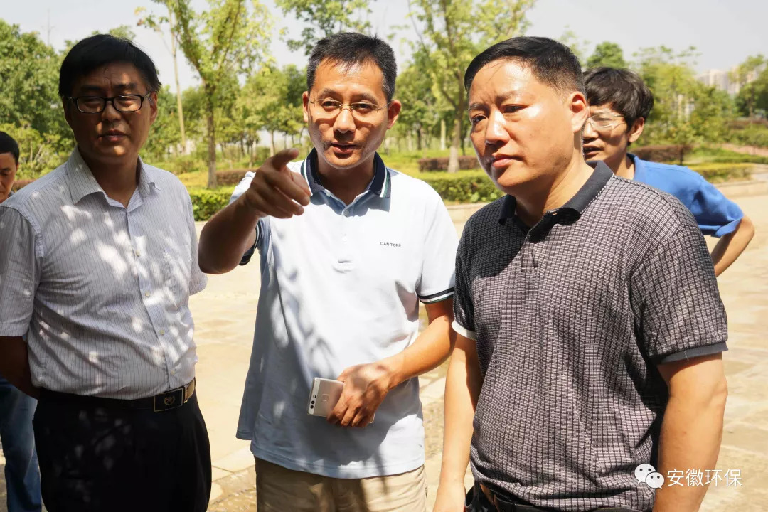 铜陵环保督察组,环保督察组对淮南市的督察结果