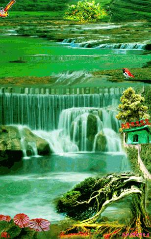 会动的照片大全,会动的11张图片