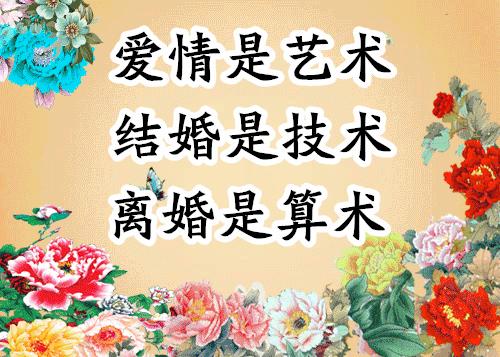 会动的照片大全,会动的11张图片