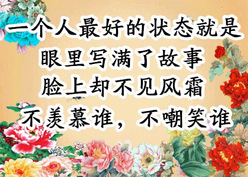 会动的照片大全,会动的11张图片