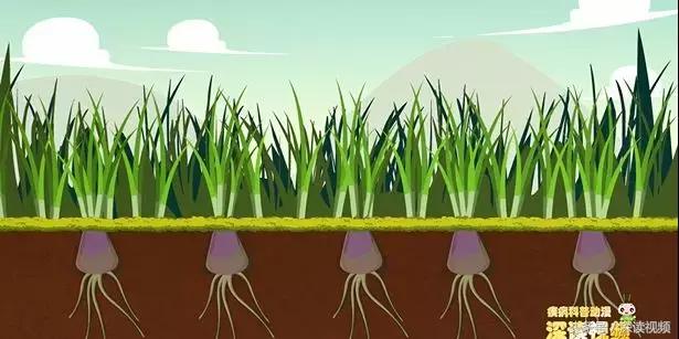 旋转跳跃根本停不下来,旋转跳跃舞不停歇