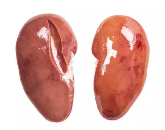 甲鱼生蚝牛鞭鸡腰子煲汤,甲鱼生蚝牛鞭鸡腰子哪个好