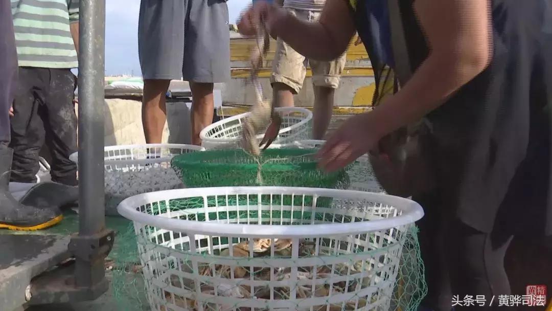 黄骅本地人吃海鲜的地方,黄骅海鲜干货