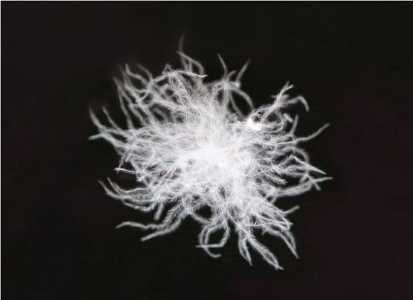 天快凉了，你还在为选羽绒被发愁吗？