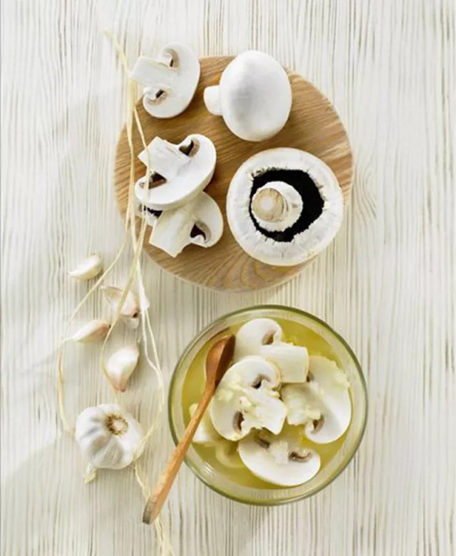 口蘑的产地在哪里,口蘑是不是中国美味蘑菇