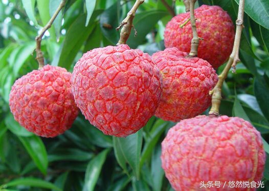 广西防城港特产有什么值得带,广西贵港特产大全排名前十名