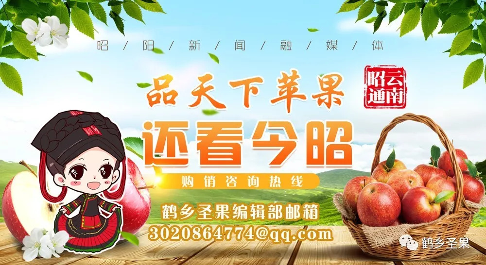 再见代购，再见微商，《中华人民共和国电子商务法》明年1月1日正式实施！