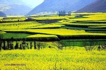 小学语文五年级成语大全,小学语文1-6年级必考成语