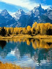 小学语文五年级成语大全,小学语文1-6年级必考成语