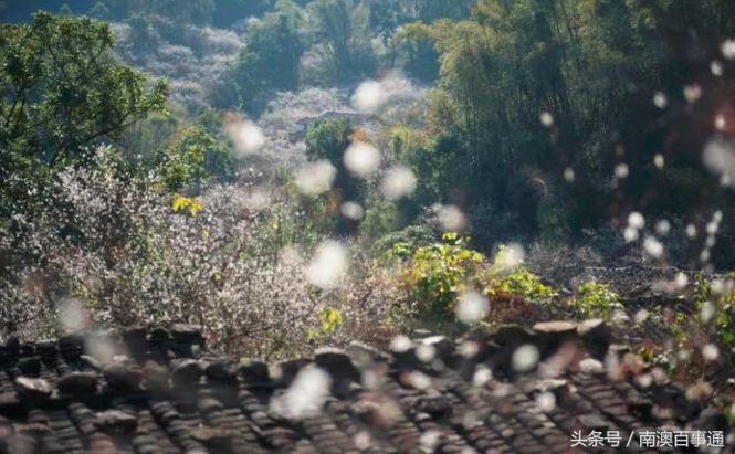 娼睍鐧剧,娼睍鐧剧澶у叏