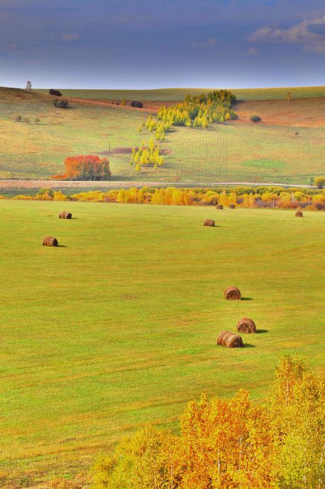 这些绝美小黄片,已经陆续在全国上线,找个时间去扫黄吧