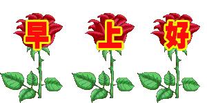 白露最暖心的祝福,明日白露祝福视频大全