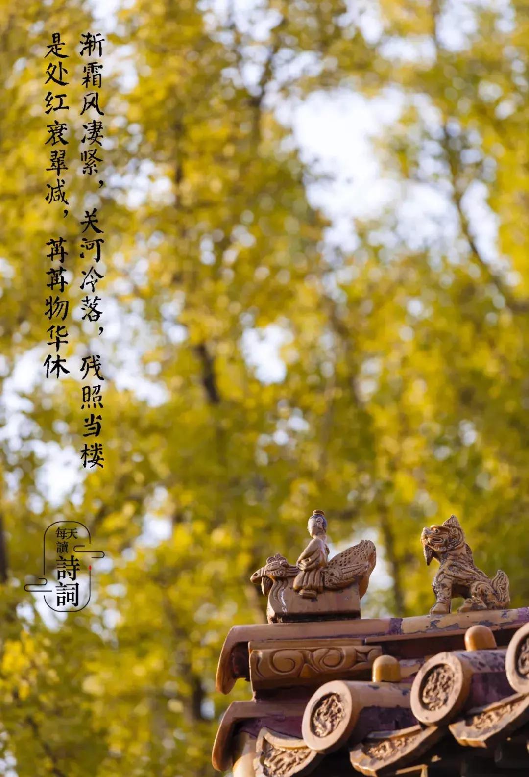 清秋唯美诗词,人间最美是清秋诗词