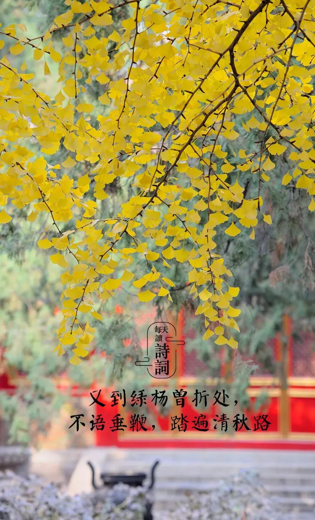 清秋唯美诗词,人间最美是清秋诗词