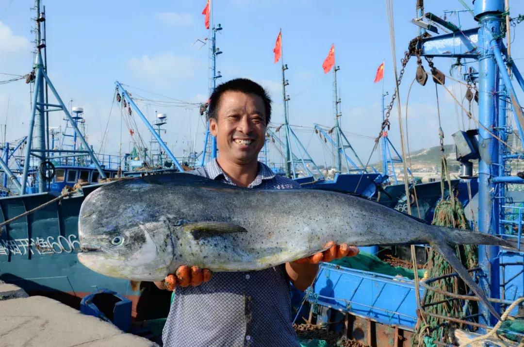 开海了！抖音上的小姐姐，来烟台吧！海鲜管够……