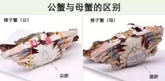 开海了！抖音上的小姐姐，来烟台吧！海鲜管够……