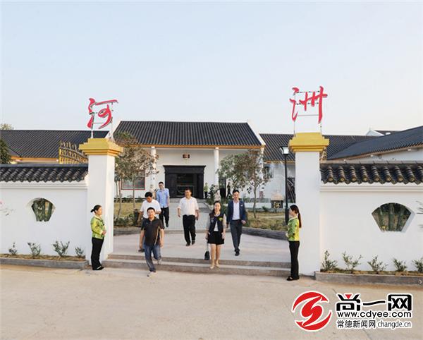 河洲甲鱼:专注专业编织十亿产值梦