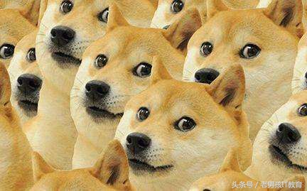 爬虫学会了可以做什么,用爬虫技术能做到哪些有趣的事情