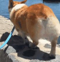 怎么揉肚子促进肠蠕动通便,肚子胀气按摩哪里最快通便