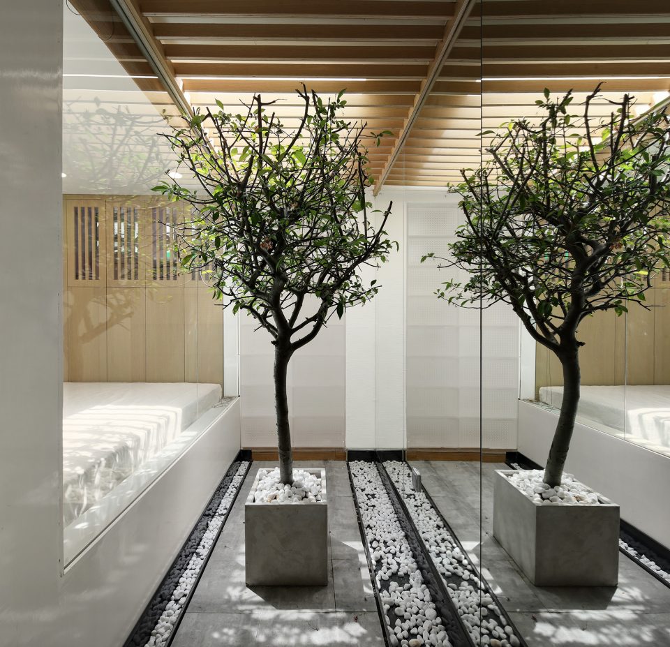 猫屋和主人屋一个房间,一只猫咪6平米玻璃猫屋设计