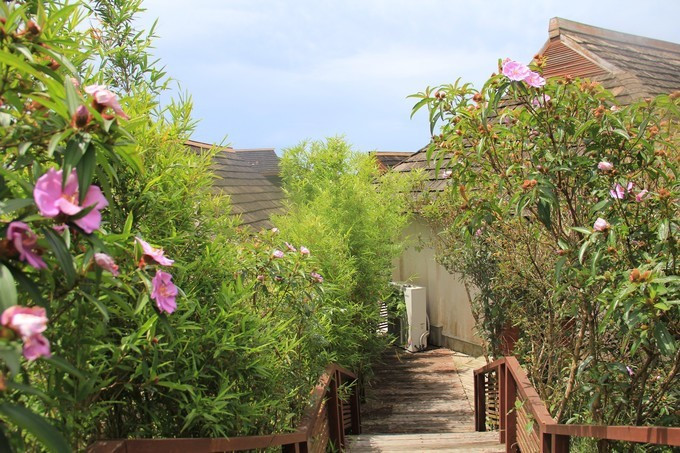 一家三口看海记，私藏本土美食美景攻略