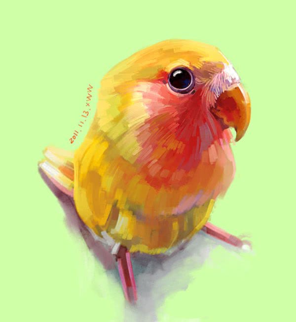 鹦鹉中暑会拉黄水吗,鹦鹉中暑怎么解决