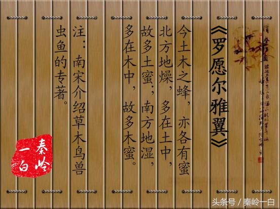 土蜂蜜四大名蜜,最好吃的土蜂蜜