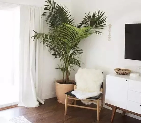 自如甲醛房事件,自如甲醛房怎么解决