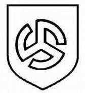 二战德国*党**卫军45个作战师的名称标志的由来以及他们之间的区别