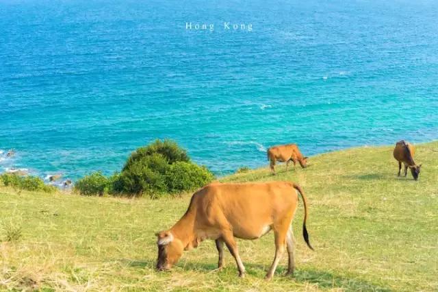 国庆去香港旅游怎么免费坐地铁,九月份去香港旅游