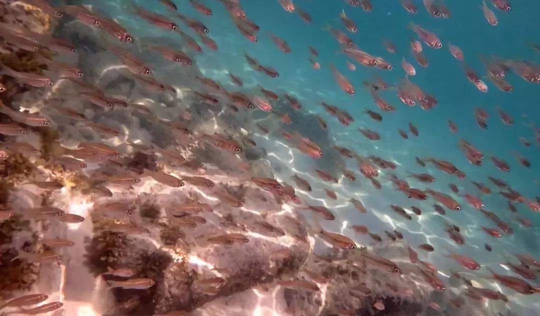 国庆去香港旅游怎么免费坐地铁,九月份去香港旅游