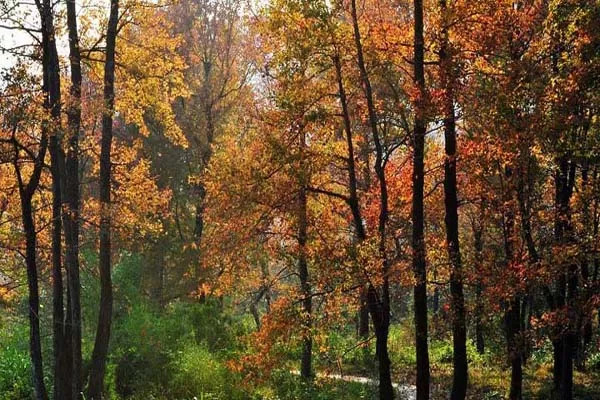 霞浦最值得去的岛,霞浦必去的几个岛屿