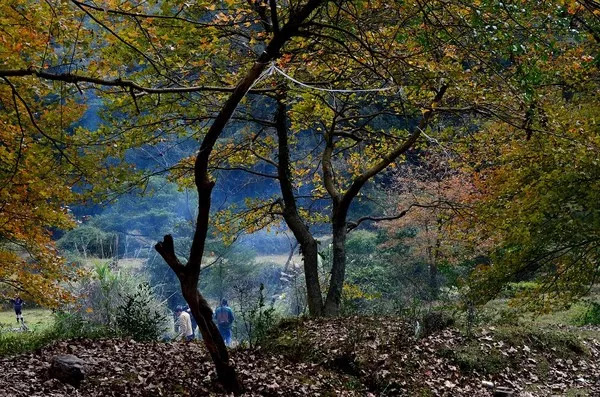 霞浦最值得去的岛,霞浦必去的几个岛屿