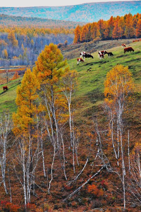 我存了256G的小黄片想和你深夜一起看