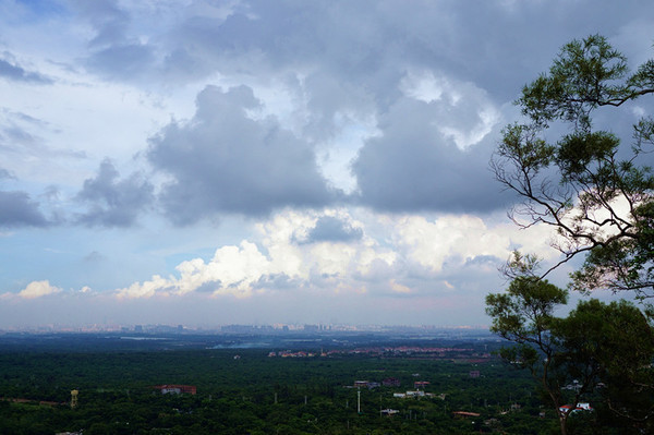 四人海口行，吃喝玩乐心情无限好