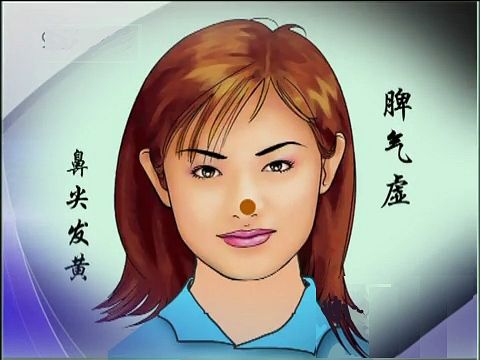 中基中诊题目,中基中诊理论知识重点