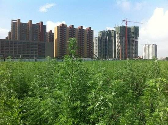 朋友圈房地产广告吸引人的广告语,最牛房地产广告语大全经典版