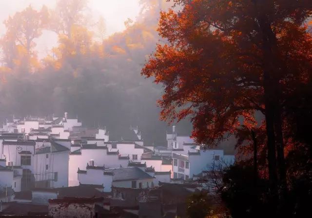 秋天的婺源什么时候去最美,秋天的婺源是色彩的天堂