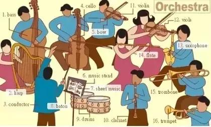 高中必备英语词汇图片,34张图记住单词